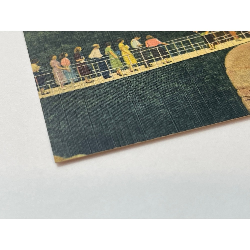 Vintage Rock City Gardens Lookout Mountain Swing Along Bridge Postcard 00811‎ - Picture 3 of 3